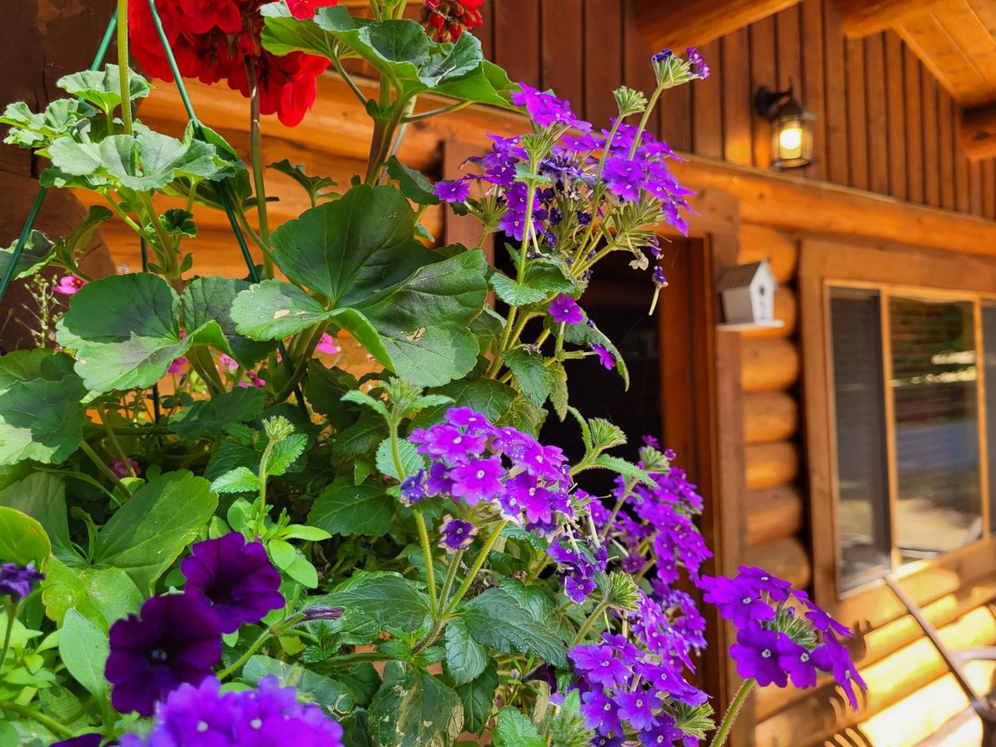 Riverbend Cottage & Rv Resort Парксвилл Экстерьер фото